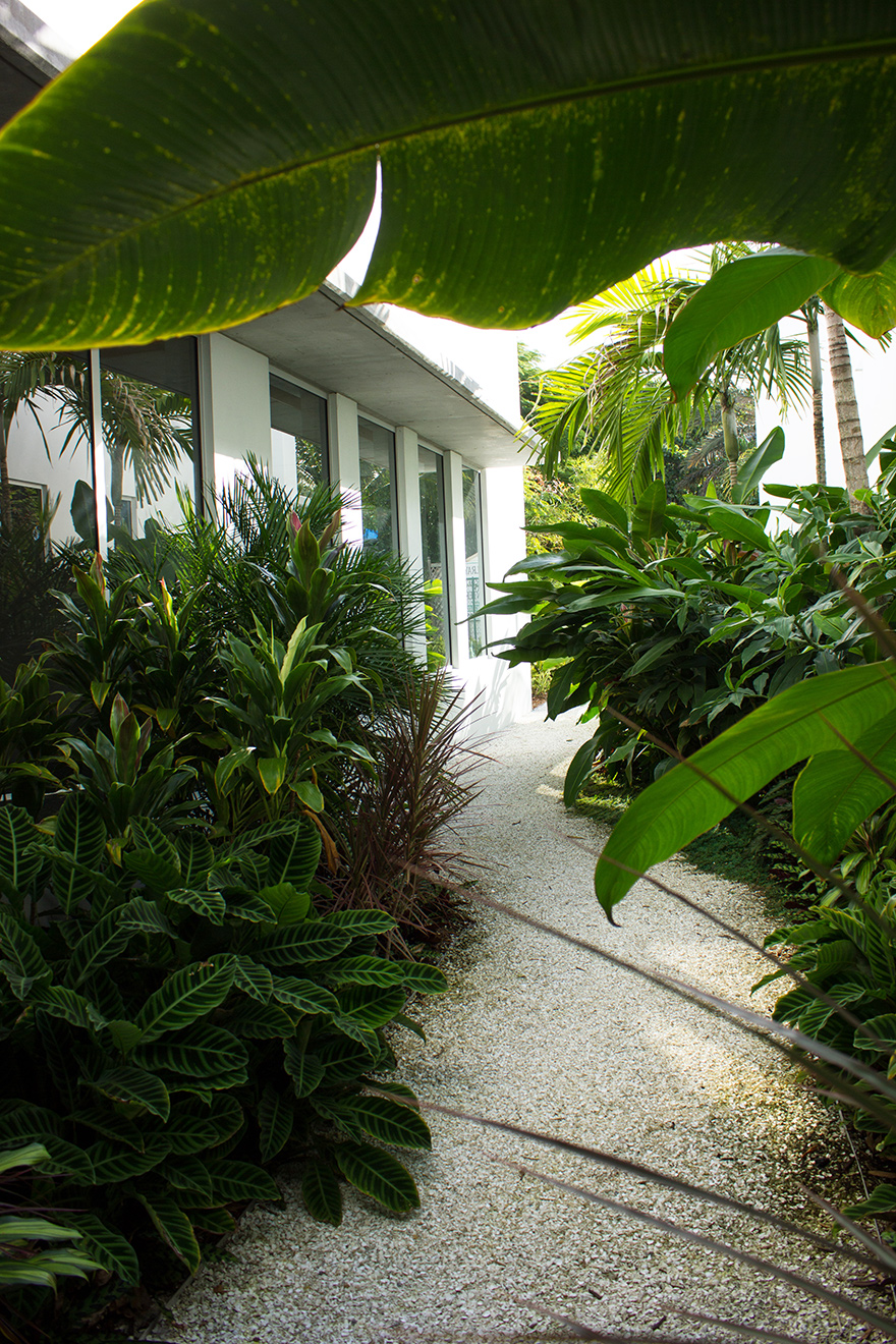 Garden and landscaping ideas for South Florida