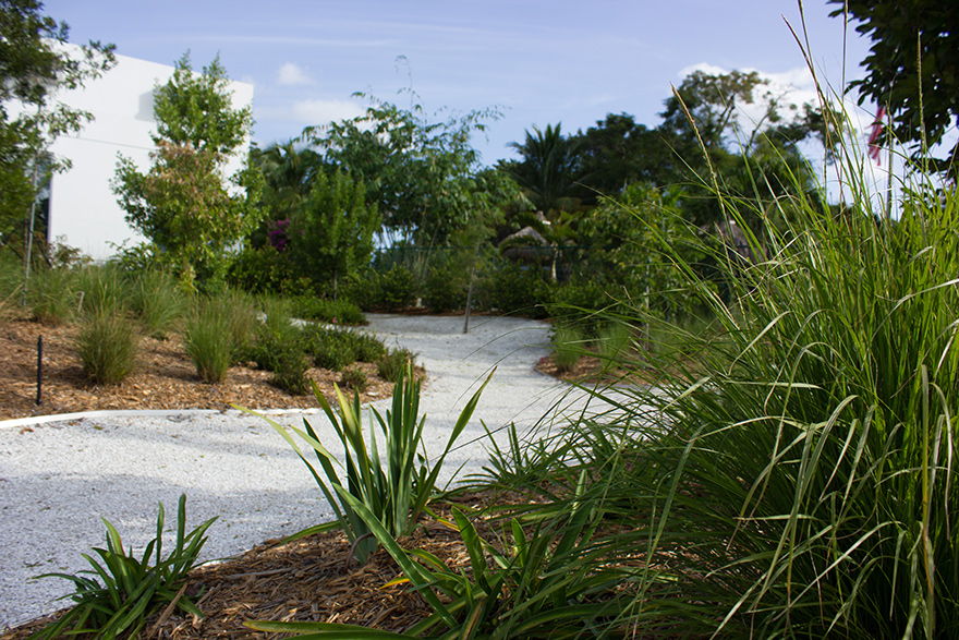 Garden and landscape design ideas for South Florida