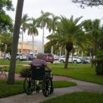 A resident wheels herself along the strolling path’s series of outdoor spaces. A minimum five-foot path allows a wheelchair to turn 180 degrees while brick orientation and path color can help guide movement along the center of the path.