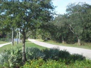 New plantings fit in seamlessly with the surrounding area.