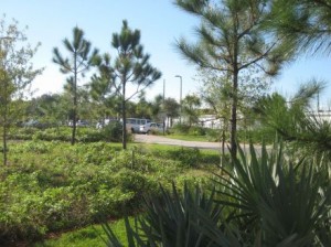 Restored grass/scrub areas surround the building.