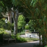 A shady bamboo threshold reveals a central water feature in a profuse garden setting.