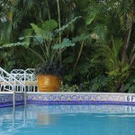 Palm Beach pool