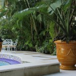 planters-Palm-Beach