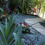 Palm Beach landscaping