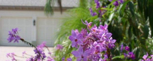 Plants Haven, Loxahatchee Club