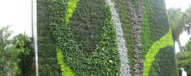 Green Wall in Palm Beach County!